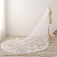 Cathedral Train Long Wedding Veil 3M Lace Applique Edge